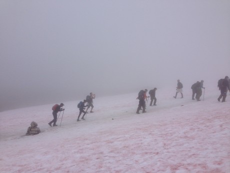 Ben Nevis, Midsummers day 2014