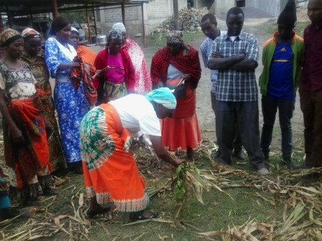 A&N trainees demonstrating how to make compost and fertilizer 