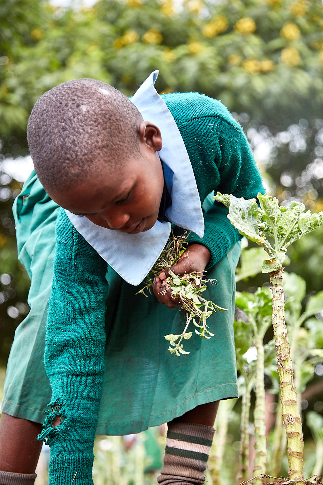 Protecting the environment by empowering communities - Ace Africa